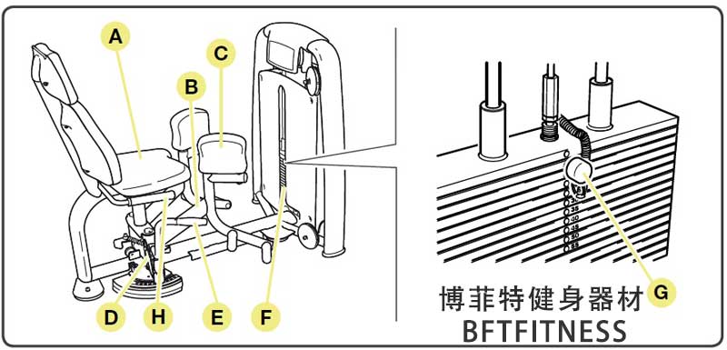 在线免费观看亚洲麻豆内展麻豆成人免费视频