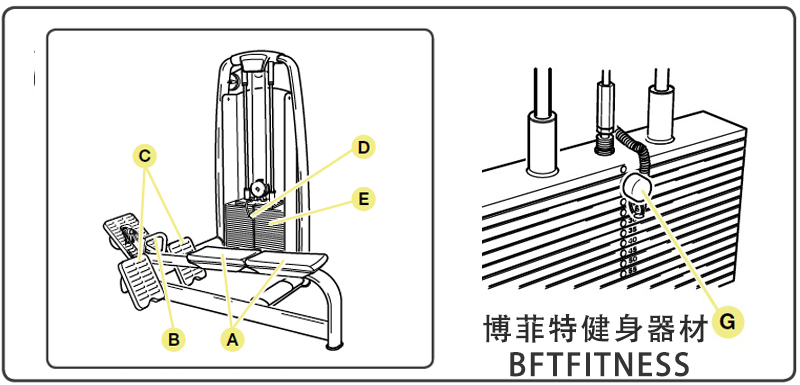 坐姿划船麻豆成人免费视频