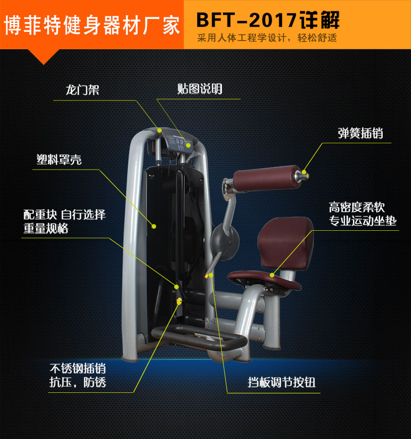 后背伸展麻豆成人免费视频