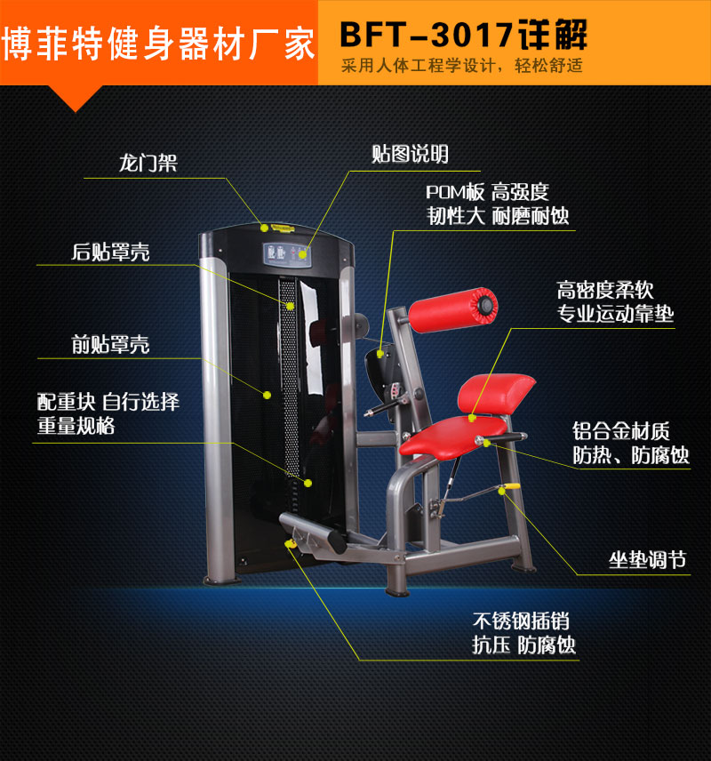 后背伸展麻豆成人免费视频