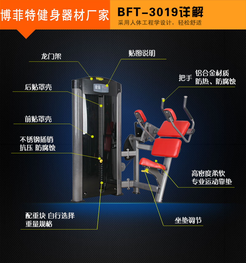 坐式压腹麻豆成人免费视频